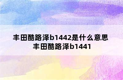 丰田酷路泽b1442是什么意思 丰田酷路泽b1441